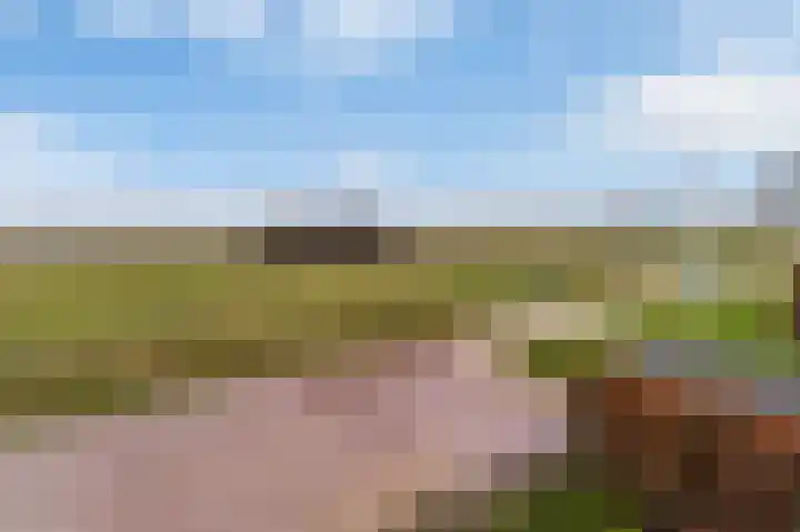 Stichtse Kade 28 a Ankeveen thumbnail 33