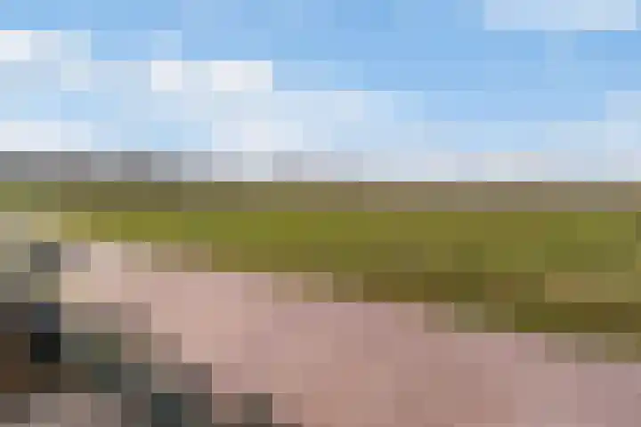 Stichtse Kade 28 a Ankeveen thumbnail 34