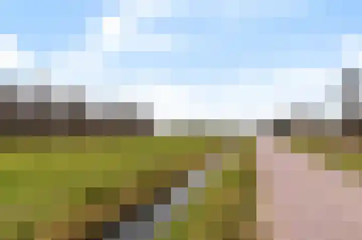 Stichtse Kade 28 a Ankeveen thumbnail 35