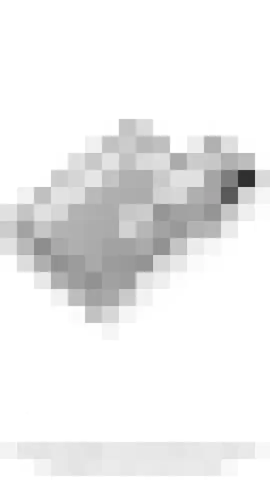 Stichtse Kade 28 a Ankeveen thumbnail 38
