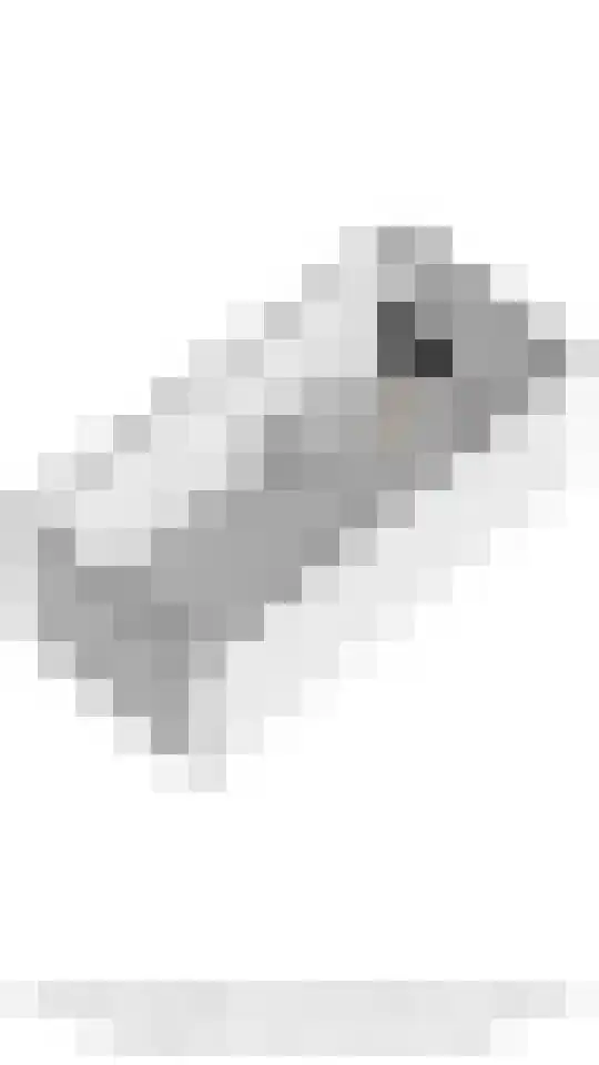 Stichtse Kade 28 a Ankeveen thumbnail 42