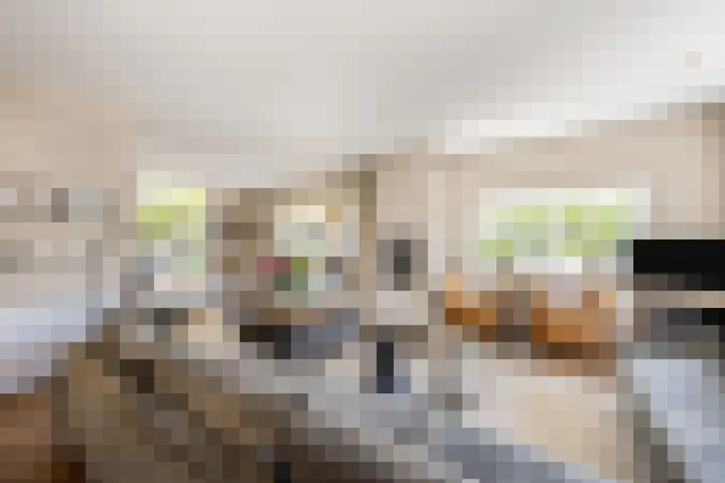 Stichtse Kade 39 Ankeveen thumbnail 16