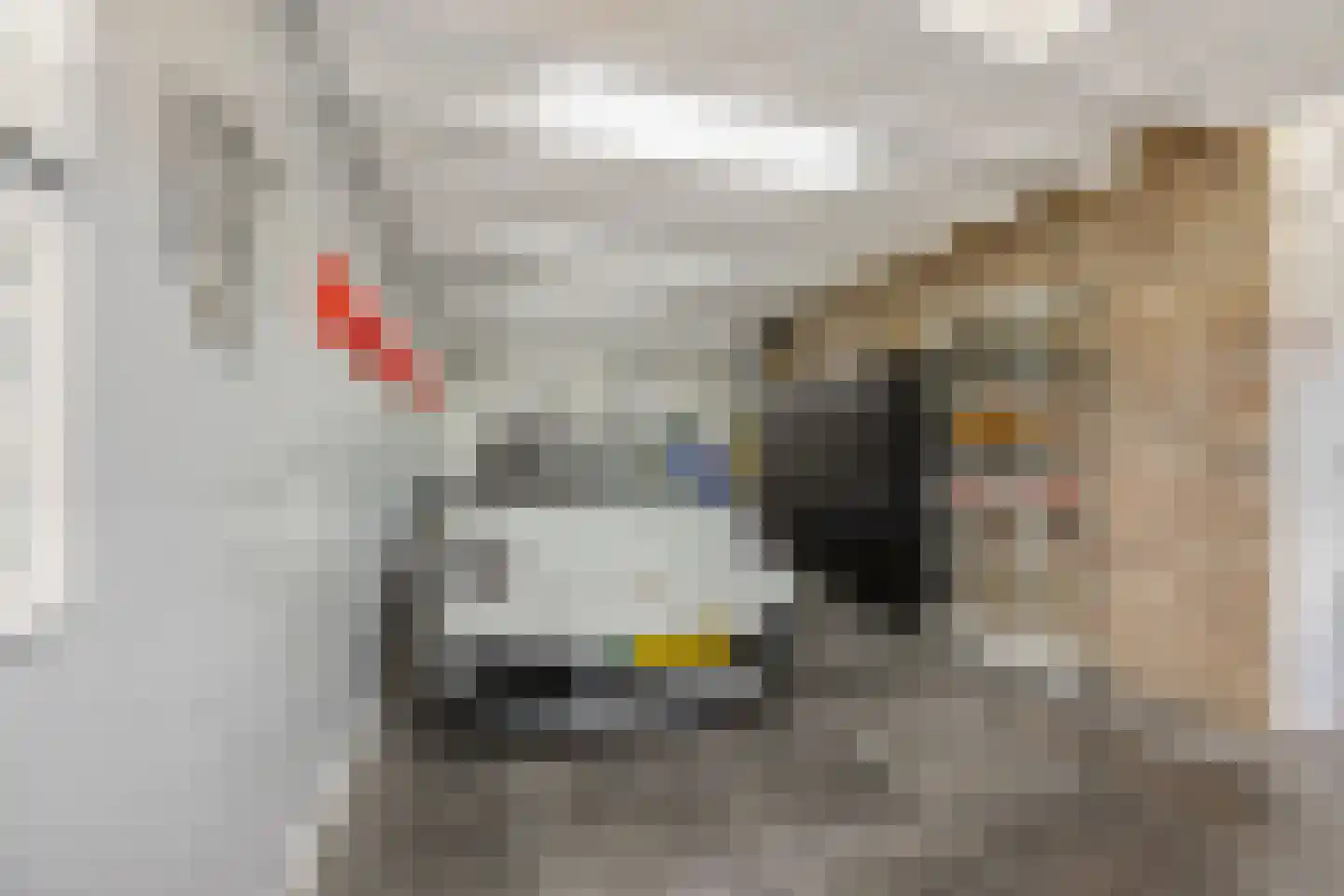 Stichtse Kade 39 Ankeveen thumbnail 44