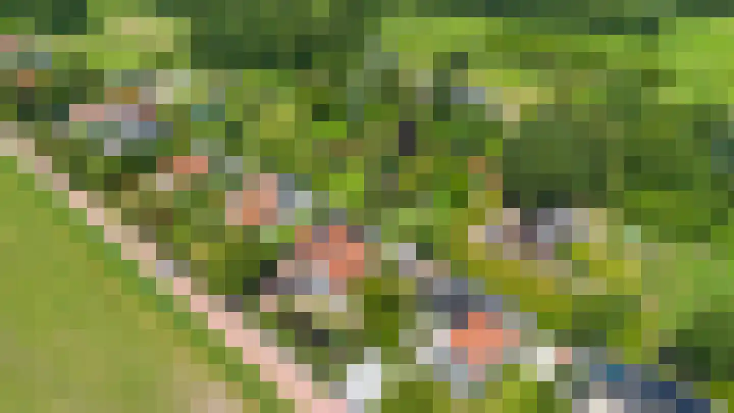 Stichtse Kade 39 Ankeveen thumbnail 6