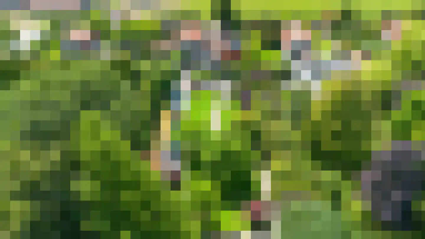 Stichtse Kade 39 Ankeveen thumbnail 9