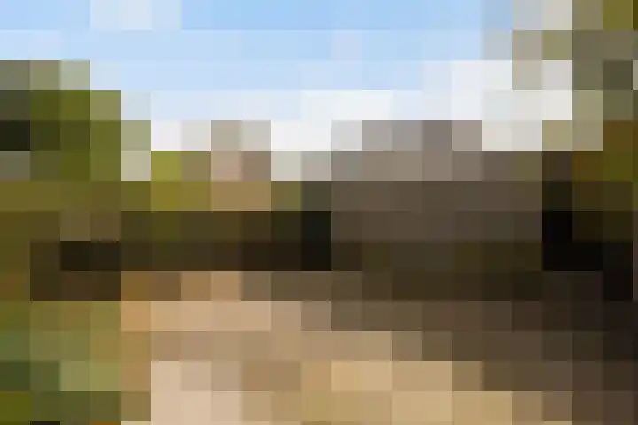 Stickerstraat 22 Dalfsen thumbnail 33