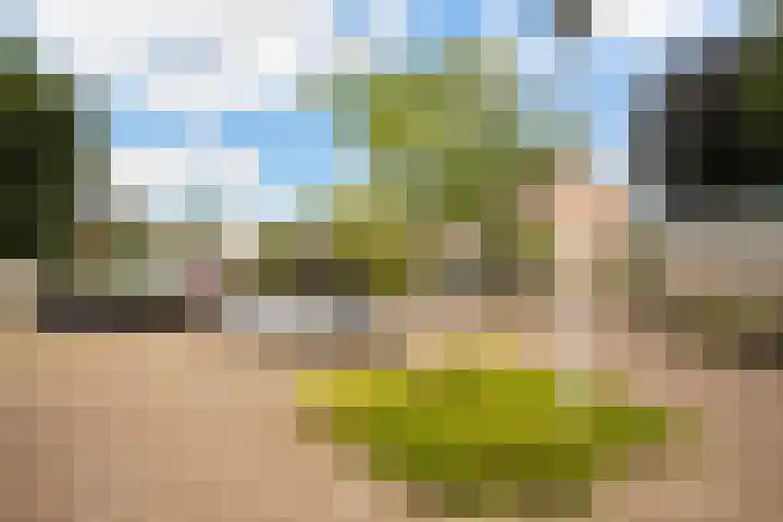 Stickerstraat 22 Dalfsen thumbnail 4