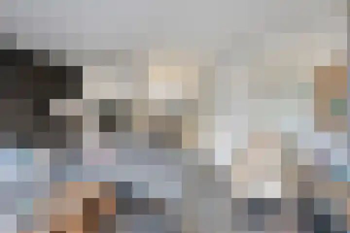 Stiegert 2 Haaksbergen thumbnail 13