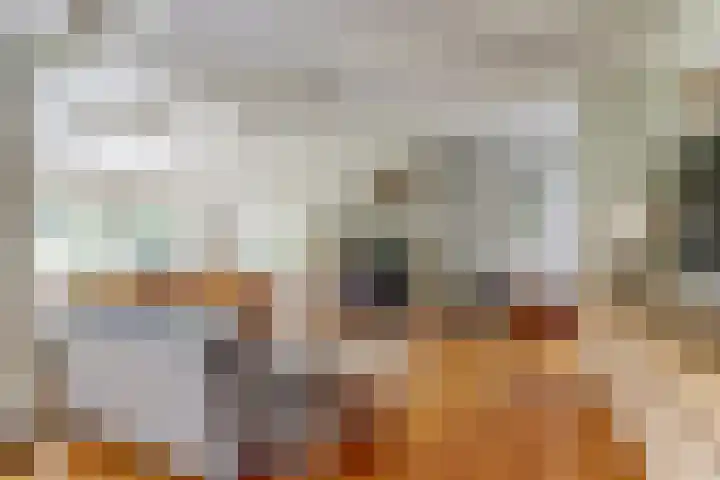 Stienikkers 2 Workum thumbnail 13