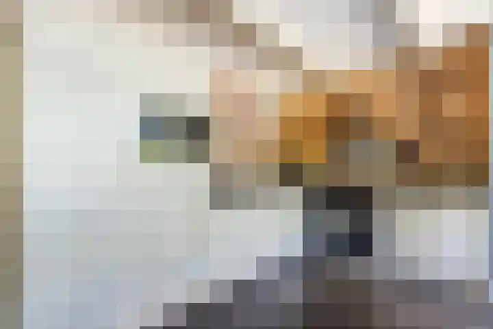 Stienikkers 2 Workum thumbnail 16