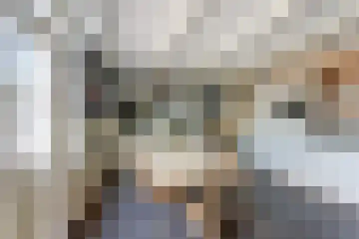 Stienikkers 2 Workum thumbnail 19