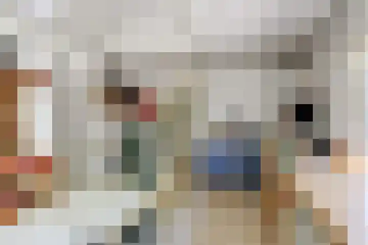 Stienikkers 2 Workum thumbnail 23
