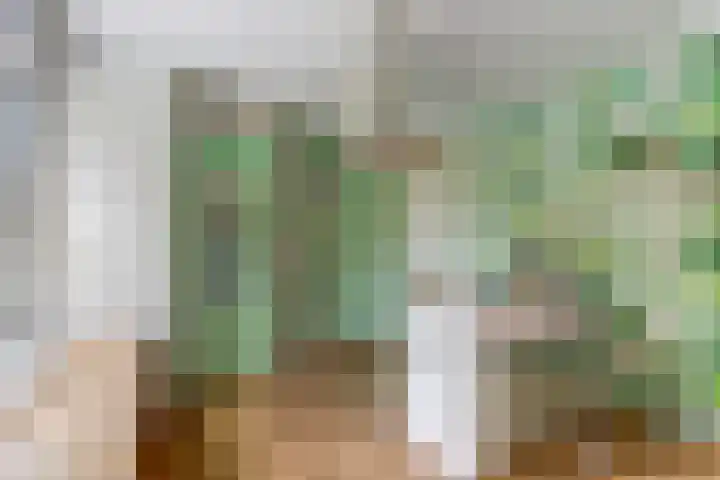 Stienikkers 2 Workum thumbnail 27
