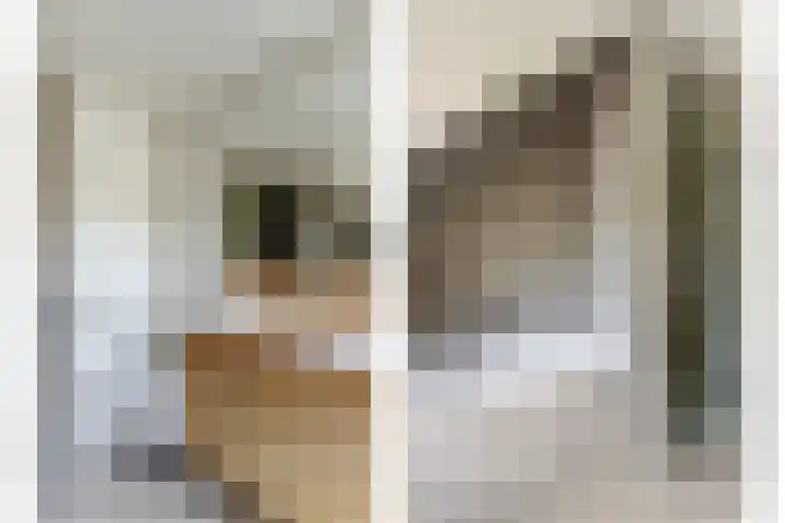 Stienikkers 2 Workum thumbnail 30