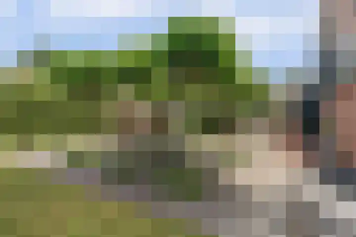 Stienikkers 2 Workum thumbnail 4