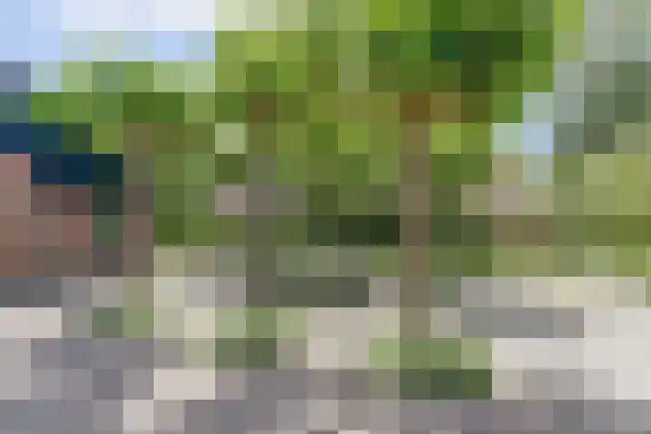 Stienikkers 2 Workum thumbnail 41