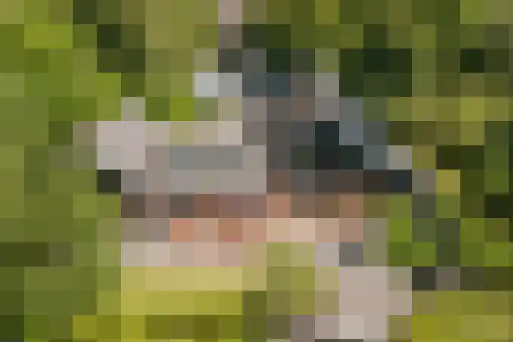 Stienikkers 2 Workum thumbnail 42