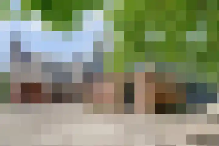 Stienikkers 2 Workum thumbnail 44