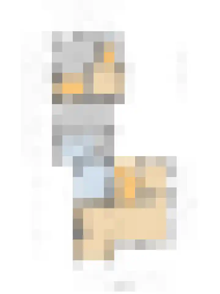 Stienikkers 2 Workum thumbnail 47