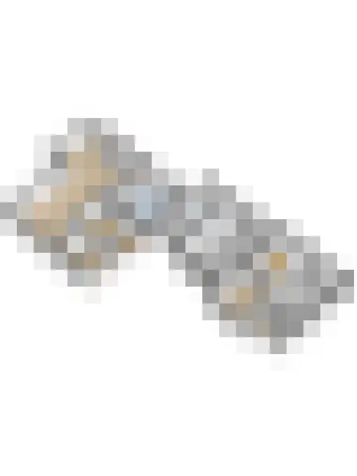 Stienikkers 2 Workum thumbnail 48