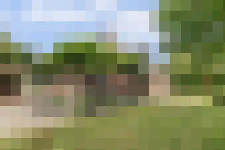 Stienikkers 2 Workum thumbnail 5