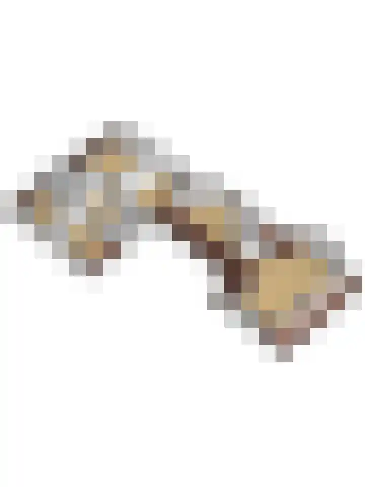 Stienikkers 2 Workum thumbnail 50