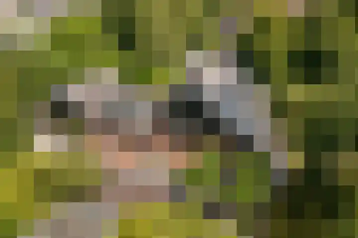 Stienikkers 2 Workum thumbnail 57