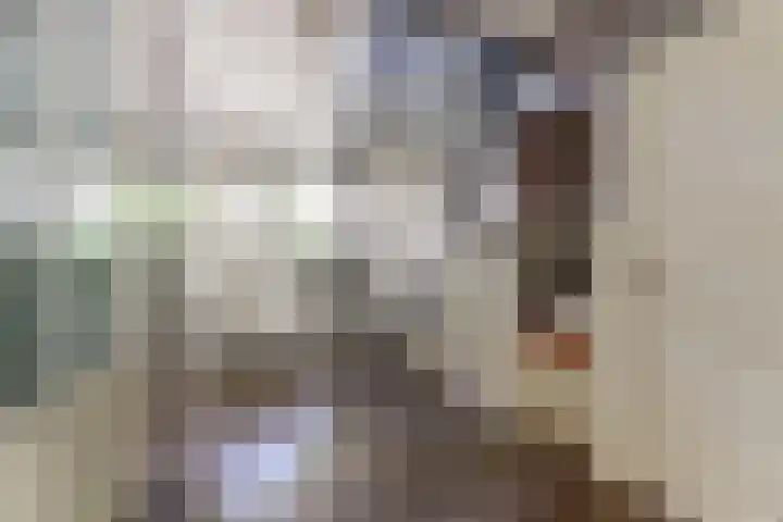 Stienikkers 2 Workum thumbnail 6