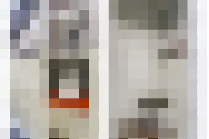 Stienikkers 2 Workum thumbnail 7