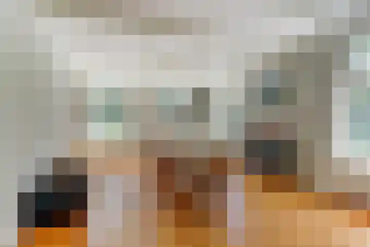 Stienikkers 2 Workum thumbnail 8