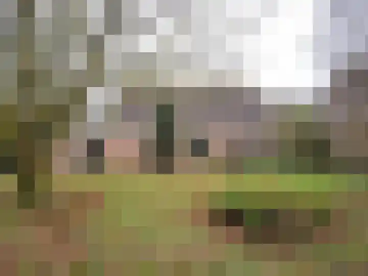 Stienpad 13 in Oosterstreek