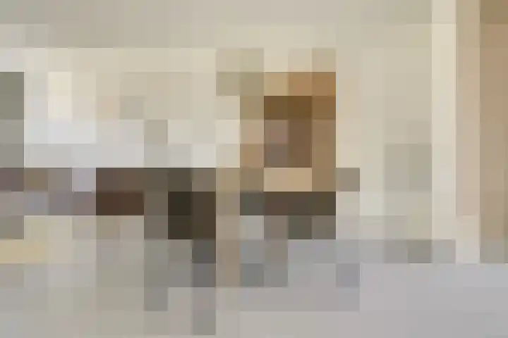 Stier 1 Elst thumbnail 10
