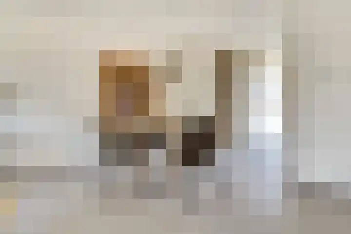 Stier 1 Elst thumbnail 11