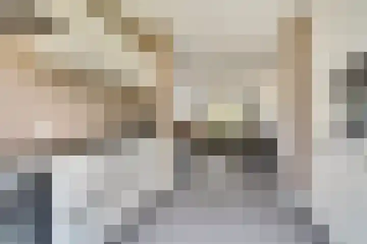 Stier 1 Elst thumbnail 13