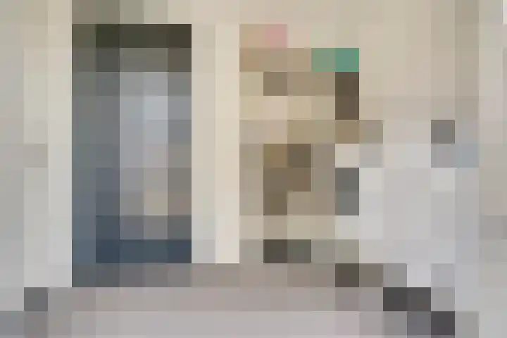 Stier 1 Elst thumbnail 15