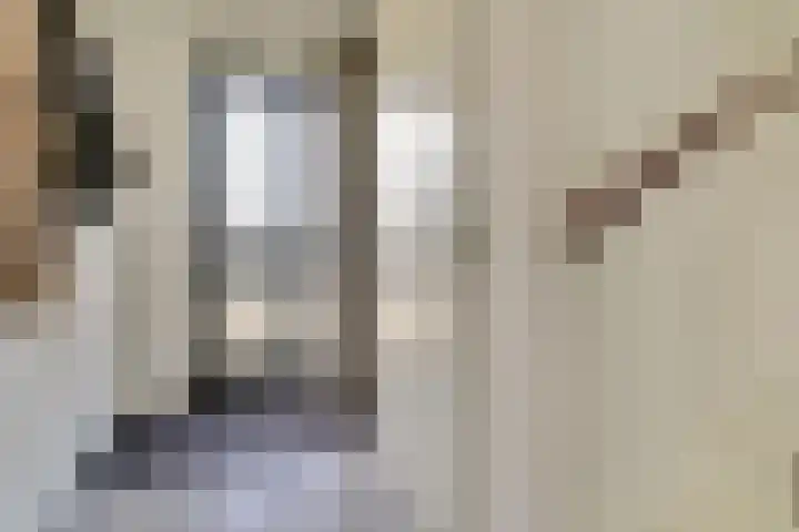Stier 1 Elst thumbnail 16