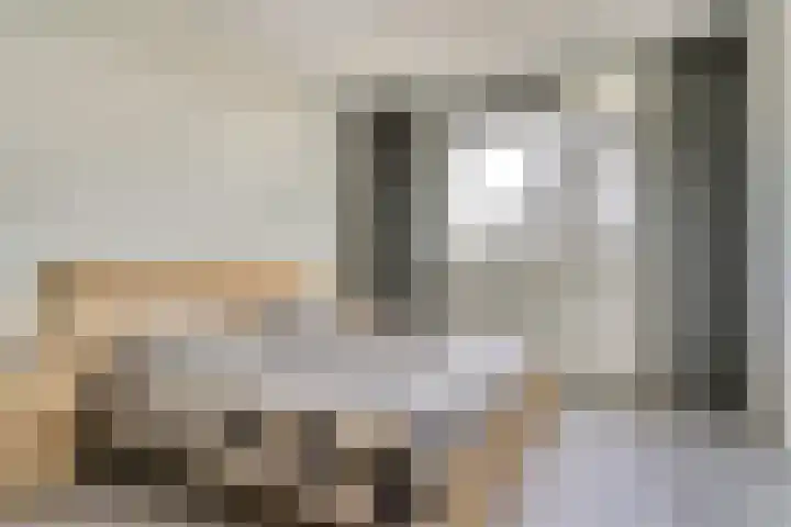 Stier 1 Elst thumbnail 18