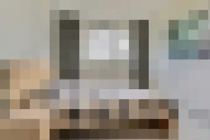 Stier 1 Elst thumbnail 19