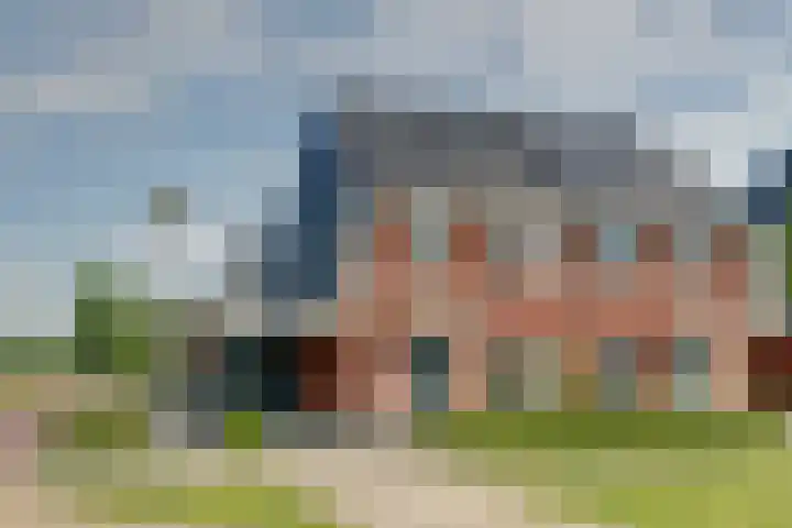 Stier 1 Elst foto 2