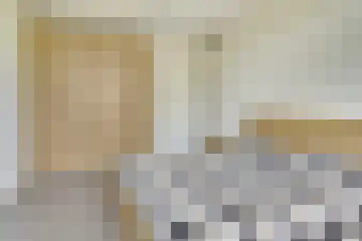 Stier 1 Elst thumbnail 20