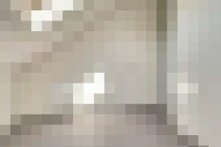 Stier 1 Elst thumbnail 30