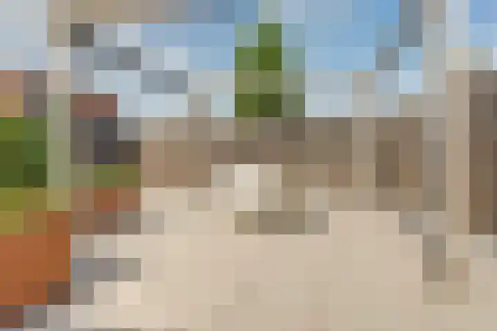 Stier 1 Elst thumbnail 34
