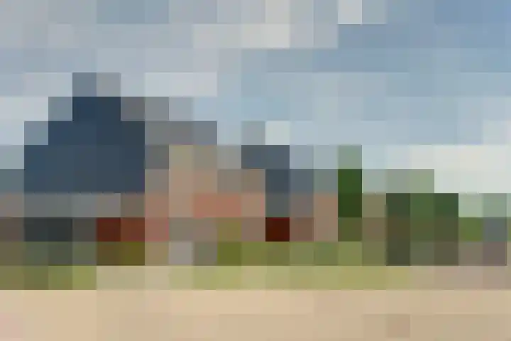 Stier 1 Elst thumbnail 36