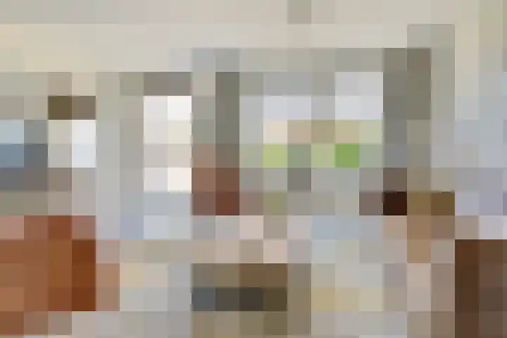 Stier 1 Elst thumbnail 6