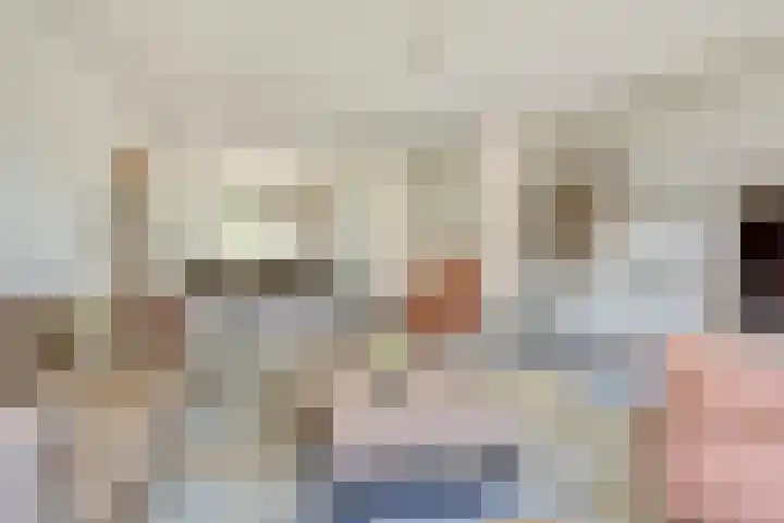 Stier 1 Elst thumbnail 8