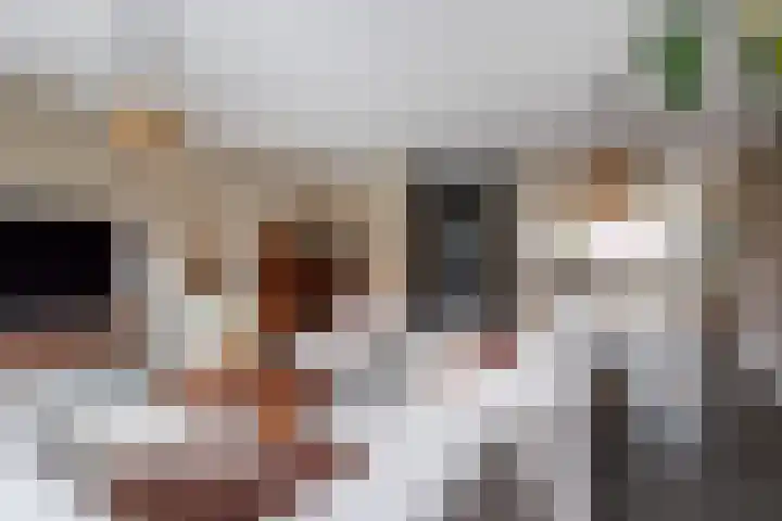 Stier 12 Elst thumbnail 10