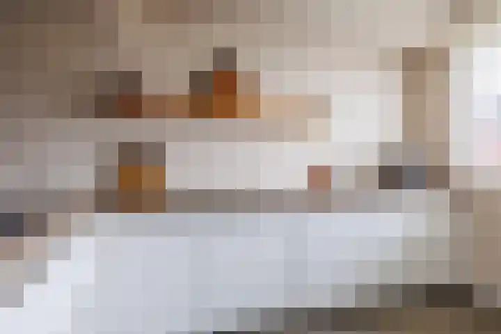 Stier 12 Elst thumbnail 13