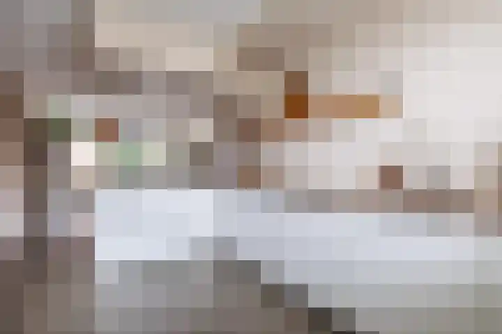 Stier 12 Elst thumbnail 15