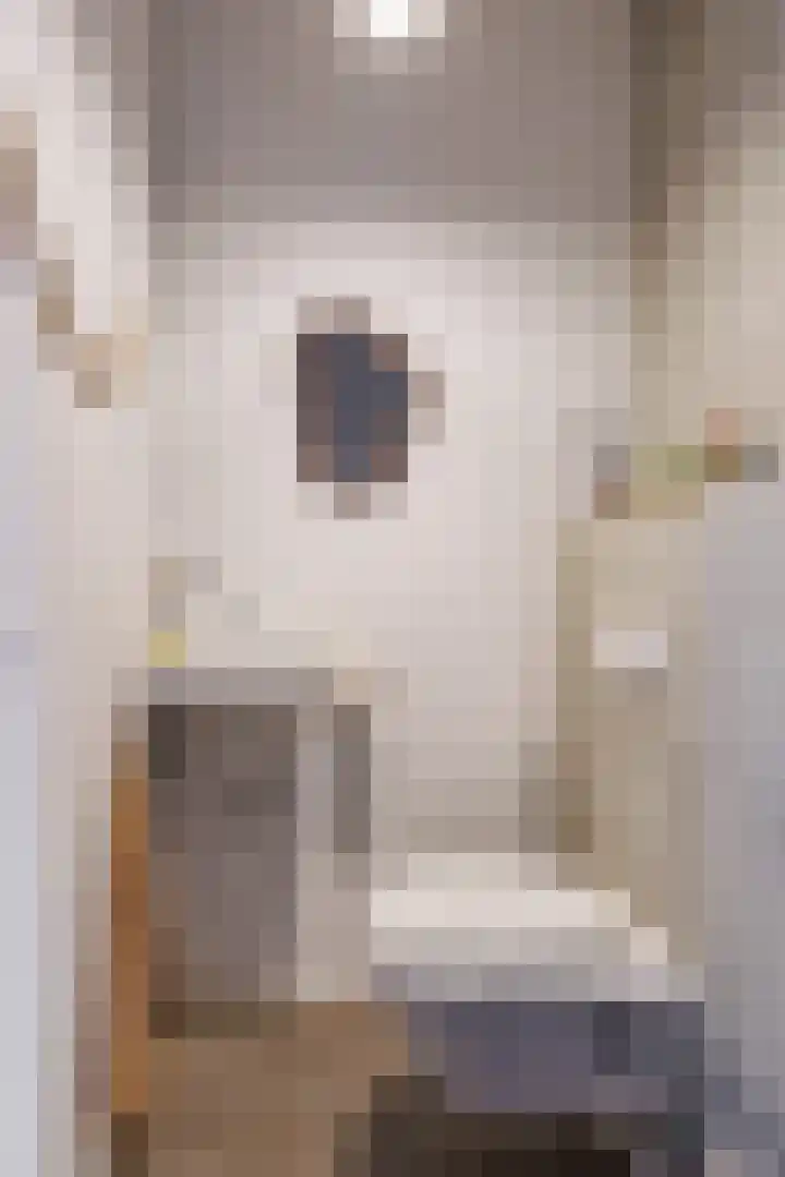 Stier 12 Elst thumbnail 18