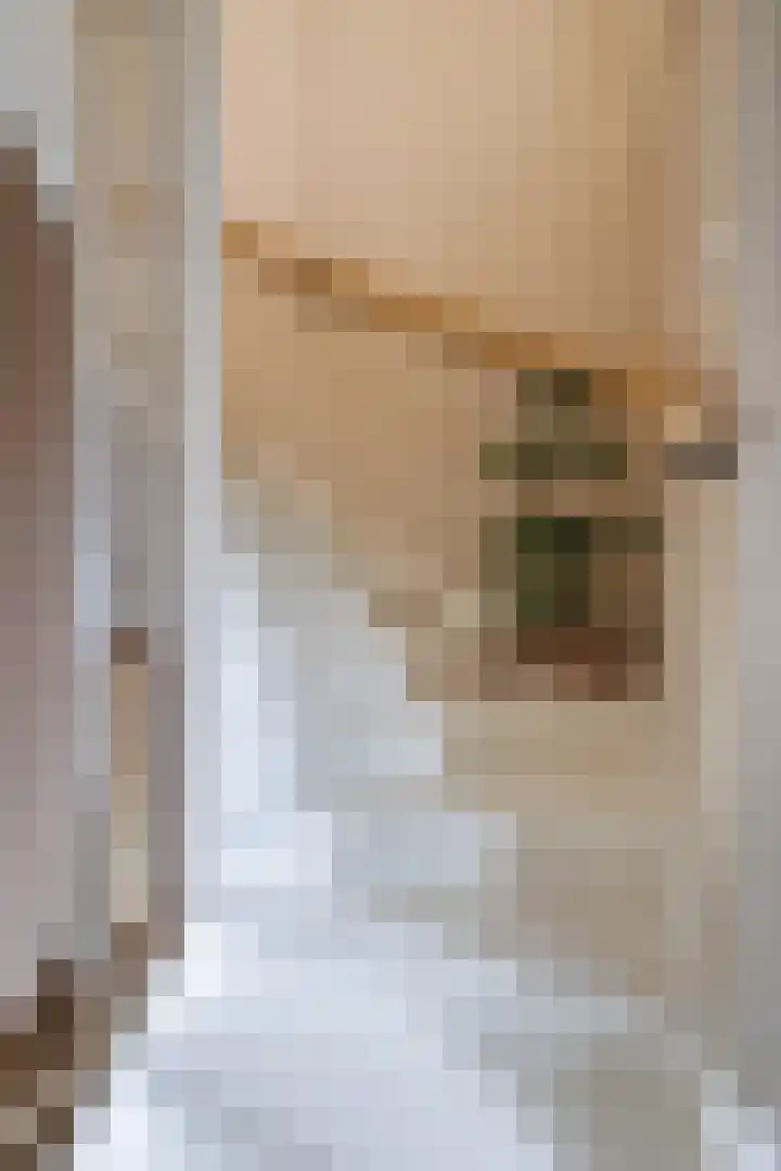 Stier 12 Elst thumbnail 19